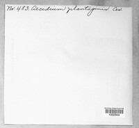 Image Associated With the Occurence